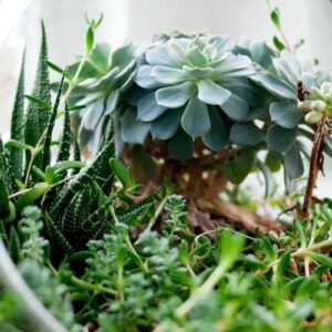 Facebook & Instagram Ads Bootcamp