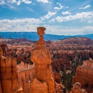 Personal Brand Builder