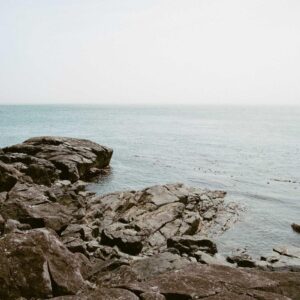 TikTok Monetization Pro